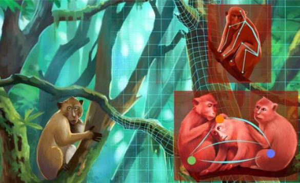 پیش بینی رفتار حیوانات با کمک به هوش مصنوعی