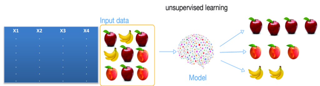 یادگیری بدون نظارت