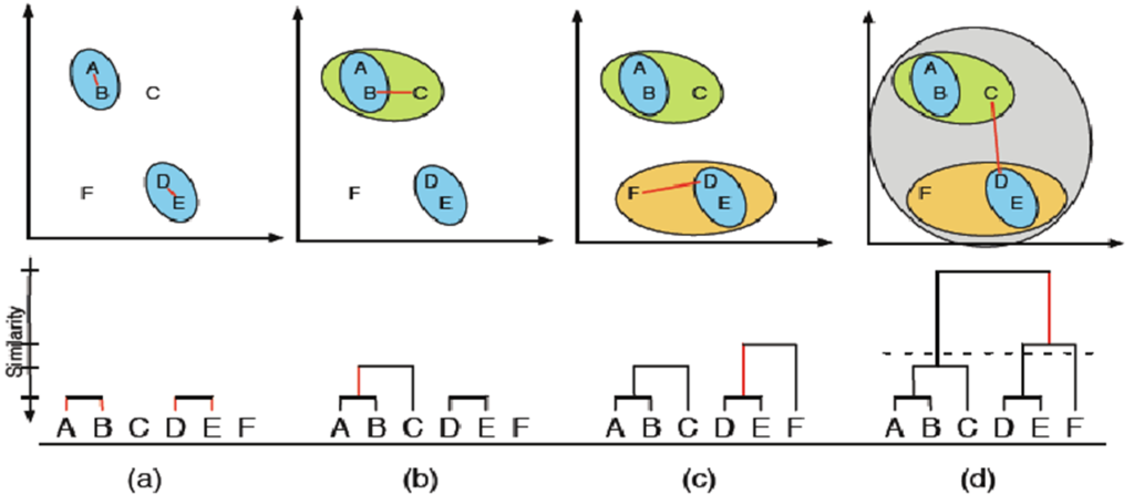 خوشه بندی سلسله مراتبی