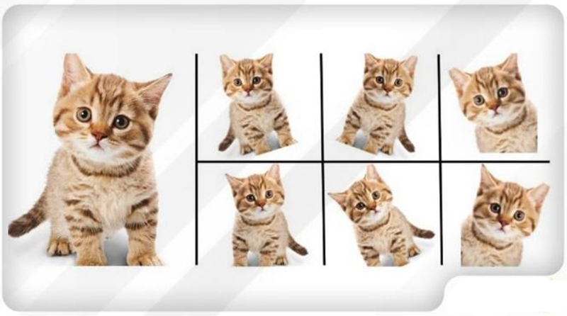 مقدمه ای بر مدل های پیش‌بینانه